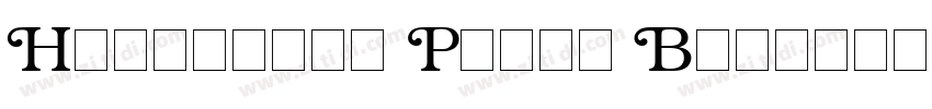 Helvetica Profi Bold字体转换